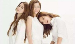 1717she国产,探寻神秘东方古国的历史足迹