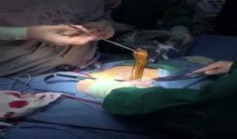 国产门事件在线视频,揭秘背后真相与影响