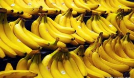 国产香蕉网,探索中国香蕉产业的魅力与未来